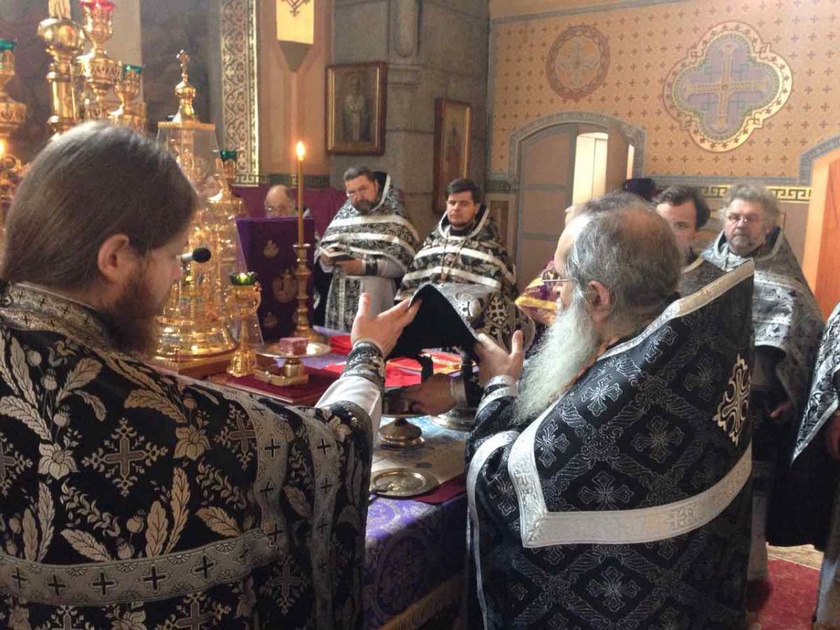 Загальна сповідь духовенства міста Житомира.