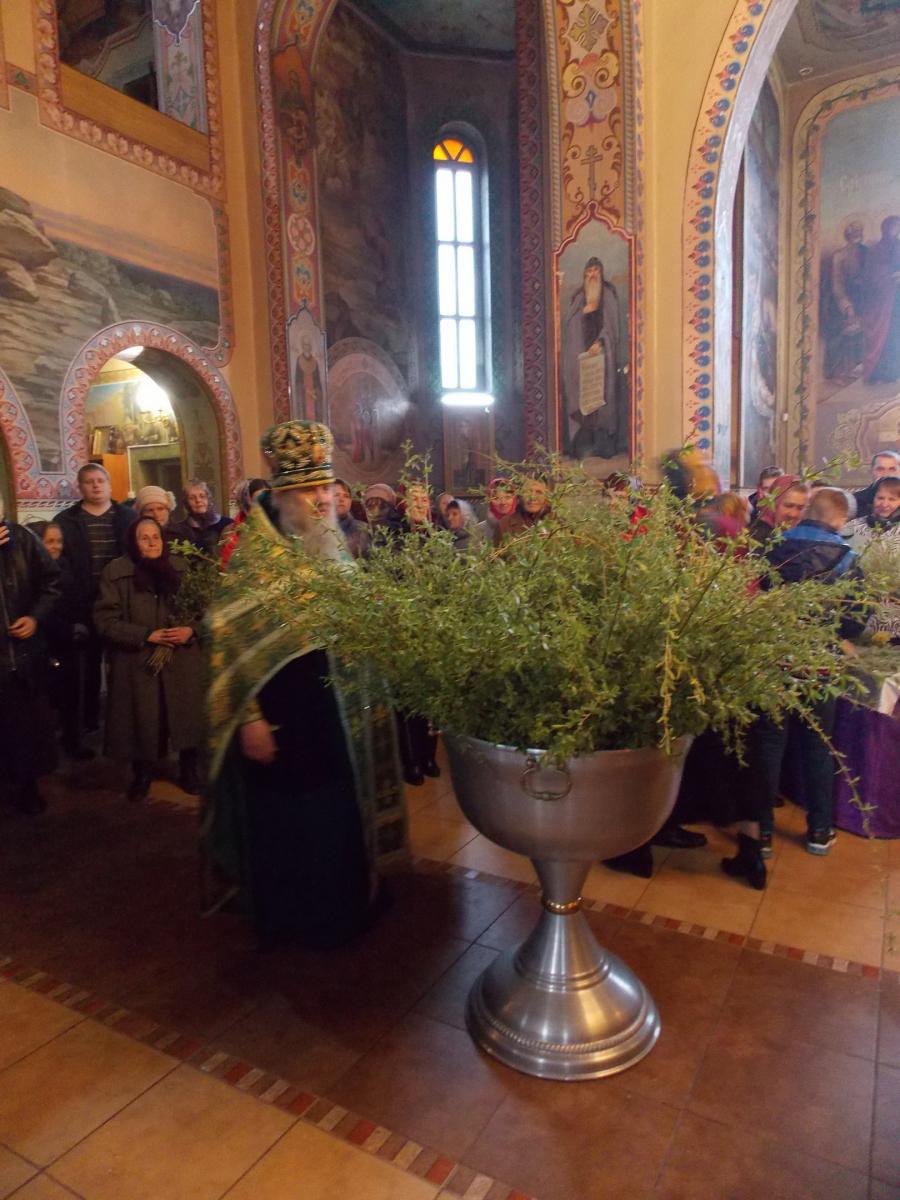 Молитва за мир в Україні та свято Вербної Неділі у Попільні!