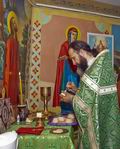 Соборне Богослужіння в с. Садове.
