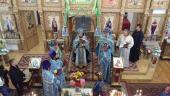 Престольне свято відзначила парафія у  с. Будичани!