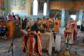 Загальна сповідь духовенства Андрушівського благочиння.