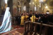 Духовенство та вірні Житомирської єпархії привітали свого Правлячого Митрополита!