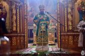 ДЕНЬ СВЯТОЇ ТРІЙЦІ. П’ЯТИДЕСЯТНИЦЯ