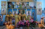 Божественна літургія в селі Лебединці.